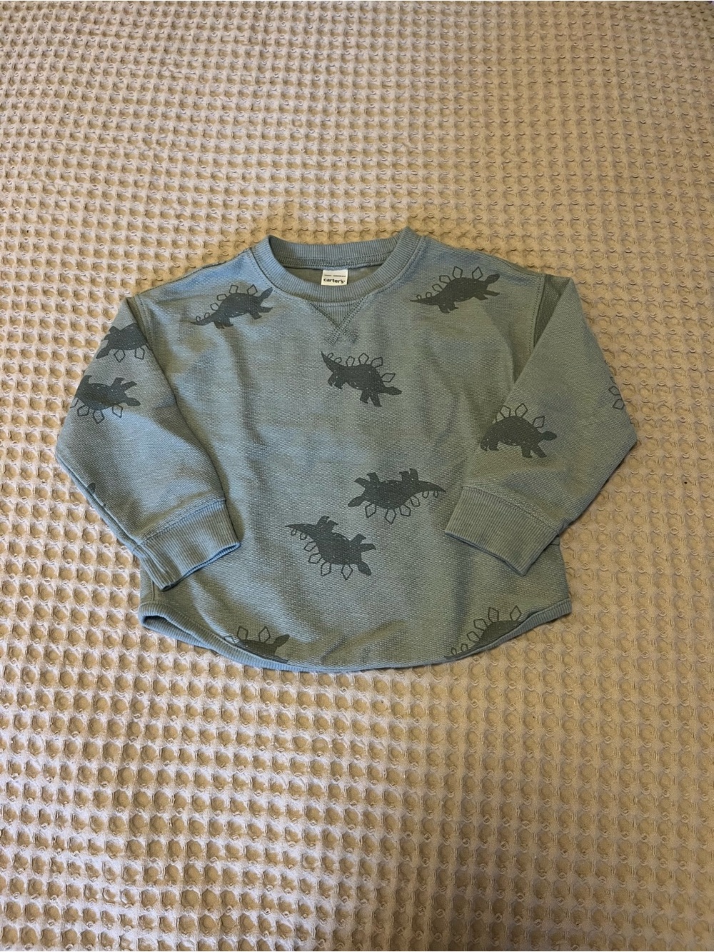 5 for $10 Carter's Dusty Green Dinosaur Print Sweatshirt